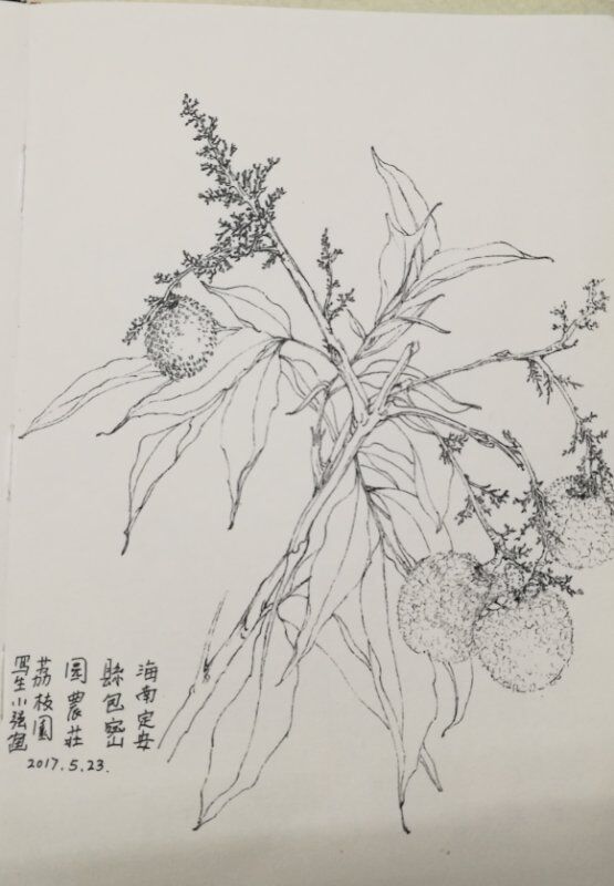 QQ图片20170828151155.jpg