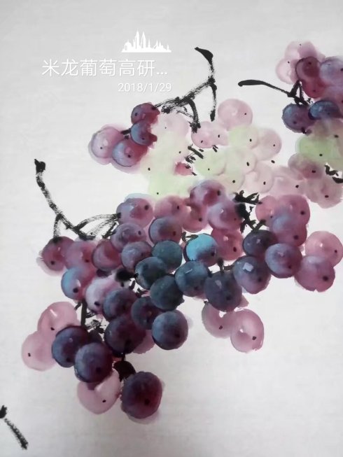 5.jpg 米龙写意葡萄高研班全国招生